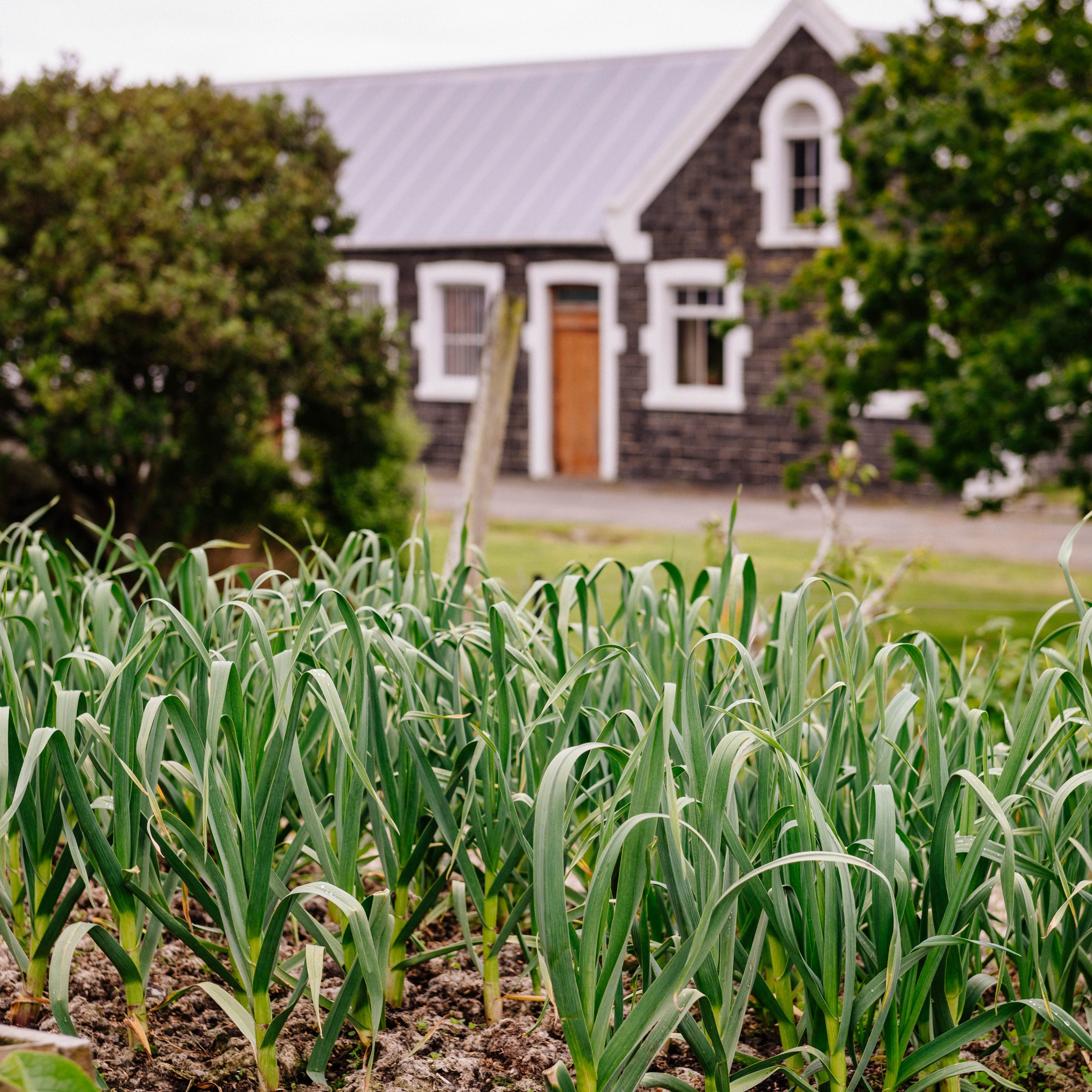 Feed Chart for our Living soil