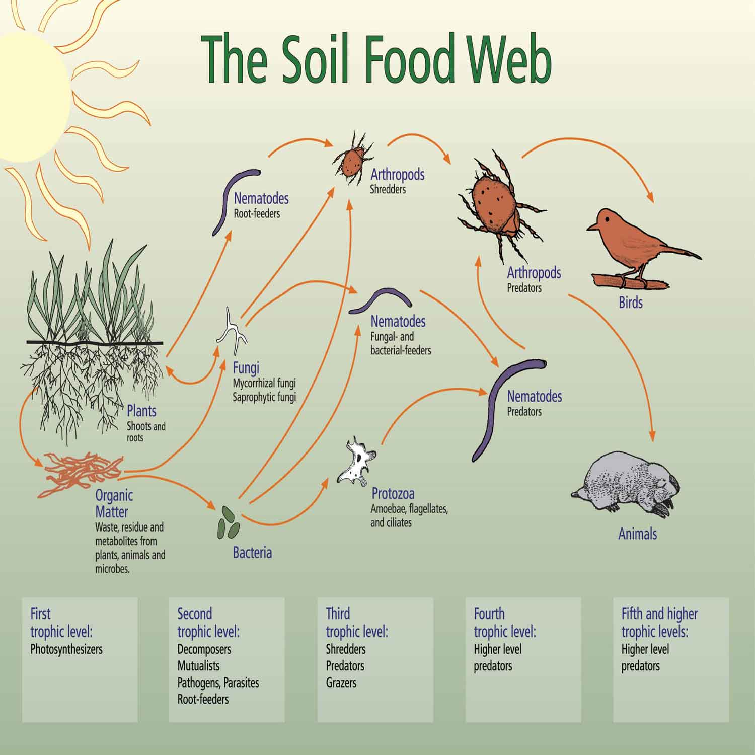 Integrated Pest Management