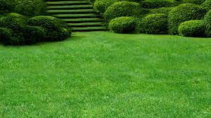 Seacliff Lawn Care Bundle - Seacliff Organics