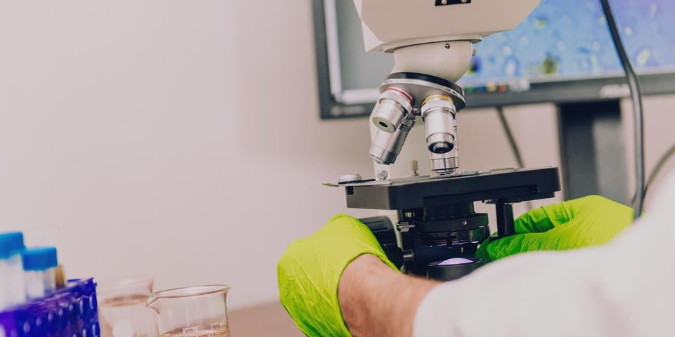 A microscope in the Seacliff Organics soil lab