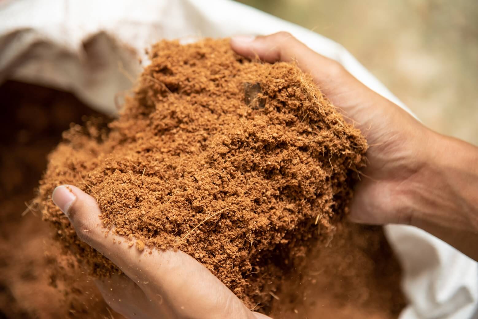 Coco Coir vs Peat:  Practical Facts You Need to Know