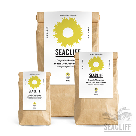 Micronised Whole Leaf Aloe Powder (Certified Organic) - Seacliff Organics