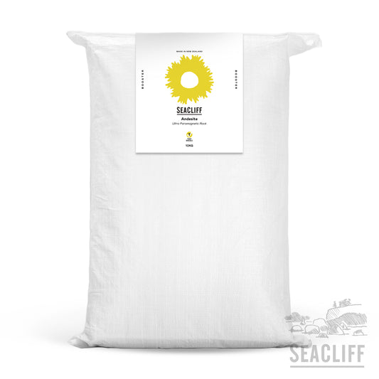 Ultra Paramagnetic Andesite Rock - Seacliff Organics