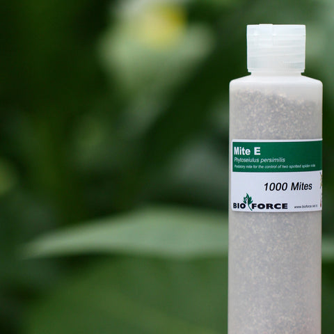Bioforce Mite-E for Spider Mite Control - Seacliff Organics Living Soil Amendments New Zealand