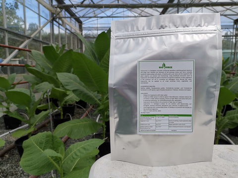 Bioforce - Superzyme mini - Soil Inoculant (Drop Shipped, there may be delays)